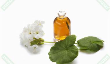 Sarmaşık Yağı 20 ml