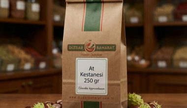 Kurutulmuş Doğal At Kestanesi Tohumları - Dizdar Baharat