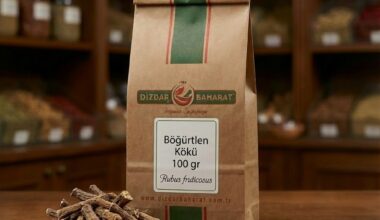 Böğürtlen Kökü –