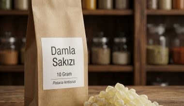 damla-sakizi