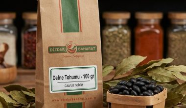 Kurutulmuş siyah Defne Tohumu meyveleri - Dizdar Baharat
