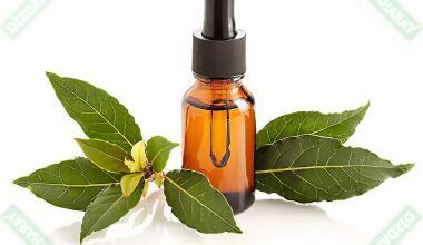 defne-tohumu-gar-yagi