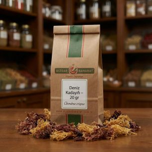 deniz-kadayifi