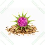 Deve Dikeni Tohumu - 100 gr - Görsel 2