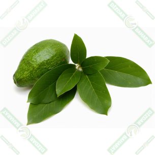 dizdar-avakado-yapragi