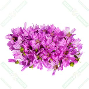 dizdar-baharat-ebegumeci-50-gr-2