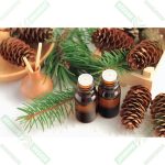 dizdar-cam-terebentin