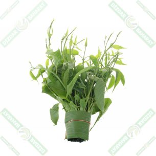 dizdar-cinnema-gurmar