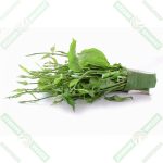 dizdar-cinnema-gurmar