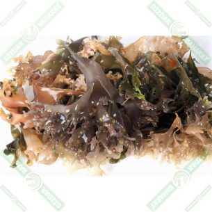 dizdar-deniz-kadayifi