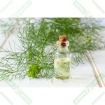 dizdar-dere-otu-tohumu-yagi