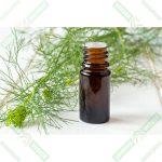 dizdar-dere-otu-tohumu-yagi