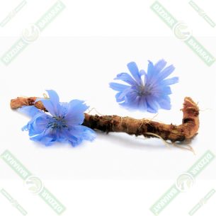 dizdar-mavi-hindiba-koku