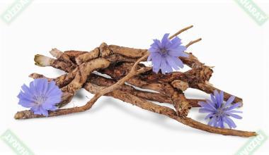 dizdar-mavi-hindiba-koku