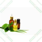 dizdar-maydanoz-tohumu-yagi