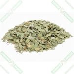 Okaliptus Yaprağı - 50 gr - Görsel 2
