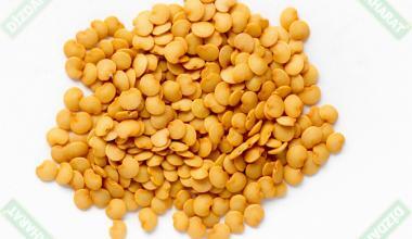 dizdar-patlican-tohumu-yagi-yagi