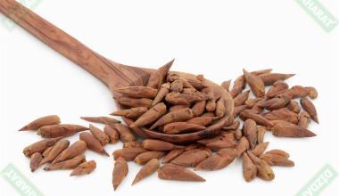 Pelesenk Yağı - 50 ml