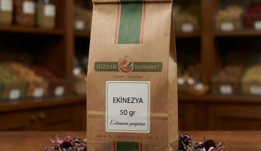 ekinezya