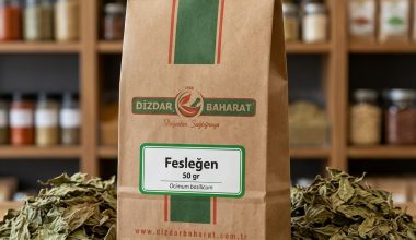feslegen