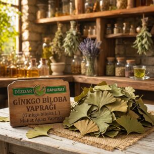 Ginkgo Biloba