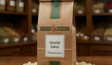 gunluk-sakizi
