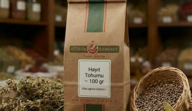 hayıt tohumu, vitex agnus castus, chasteberry, rahip biberi, hayıt meyvesi, şifalı bitki