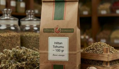 hiltan-tohumu