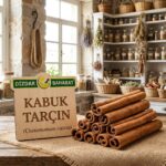 Kabuk Tarçın