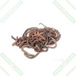 kaliforniya-solucani-yagi