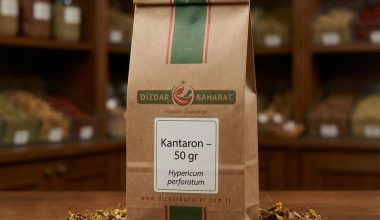 Doğal görünümlü Sarı Kantaron bitkisi