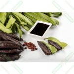 Keçi Boynuzu Pekmezi 1 kg - Görsel 2