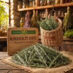 Kırkkilit Otu