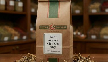 Kurt Pençesi Kibrit Otu - Dizdar Baharat
