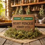 Kurt Pençesi – Kibrit Otu