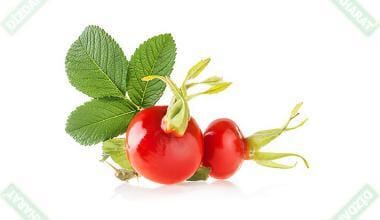 Kuşburnu mayhoş aromalı kurutulmuş meyve - Dizdar Baharat