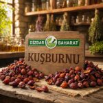 Kuşburnu