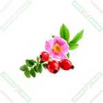 Kuşburnu-300 gr - Görsel 2