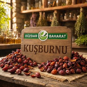 Kuşburnu