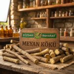 Meyan Kökü