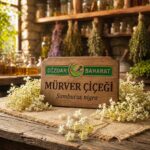 Mürver Çiçeği