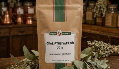 Okaliptus Yaprağı