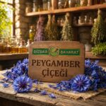 Peygamber Çiçeği