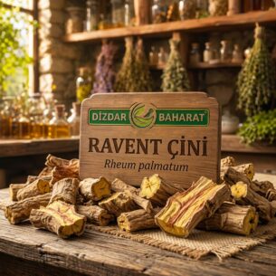 Ravent Çini