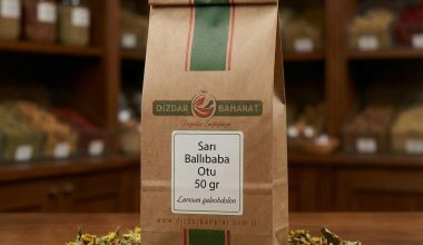 Kurutulmuş sarı çiçekli Sarı Ballıbaba Otu - Dizdar Baharat
