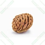 Şeftali Çekirdeği Yağı - 20 ml