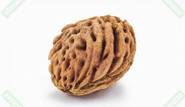 Şeftali Çekirdeği Yağı - 20 ml