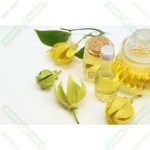 ylang-ylang-yagi-