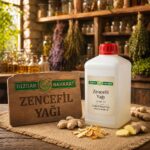 Zencefil Yağı