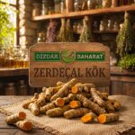 Zerdeçal Kök